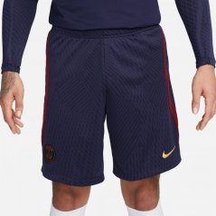 Nike Paris Saint Germain Strike Shorts 2023 2024 Adults Blue/Red
