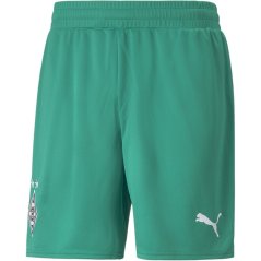 Puma Borussia Monchengladbach Shorts Replica Adults Pepper Green