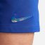 Nike Chelsea Home Shorts 2023 2024 Adults Blue/White
