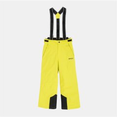 Nevica Meribel Ski Pant Juniors Green