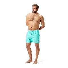 Speedo Essentials 16-inch Watershorts Mens Artic Glass