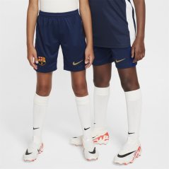 Nike Barcelona Home Shorts 2024 2025 Juniors Blue