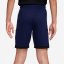 Nike Academy Shorts Juniors Blue/Pink
