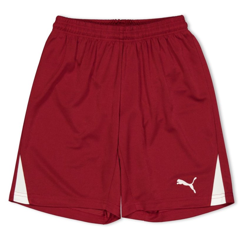 Puma (F3) Fb Team Shorts With Brief Juniors Red