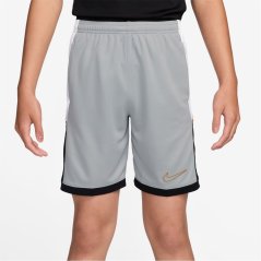 Nike Academy Shorts Juniors Grey/Gold