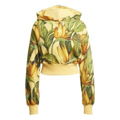adidas x FARM Hoodie Spark/Gld/Grn