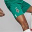 Puma Borussia Monchengladbach Shorts 2023 2024 Adults Pepper Green
