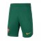 Nike Portugal Home Shorts 2022/2023 Junior Green