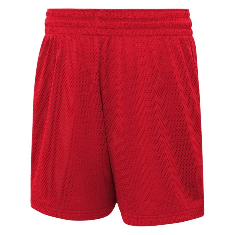 Nike NBA DNA Shorts Junior Boys Bulls