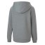 Puma TeamGOAL 23 Casuals Hooded Jacket Grey