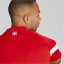 Puma Switzerland Training Jersey Mens 2022 Red/White/Pearl