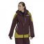 adidas Terrex MYSHELTER Snow 2-Layer Insulated Jacket Womens Shamar/Puloli