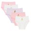 Character Disney Princess 5PK Knickers Disney Princess