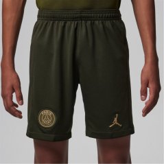 Nike x Jordan Fourth Pre Match Replica Shorts Sequoia