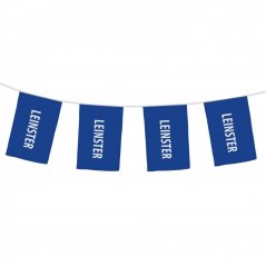 Official Bunting Leinster