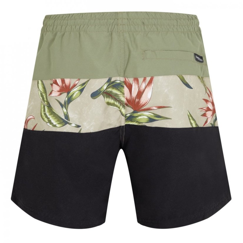 ONeill Frame Block Swim Shorts Green Multi