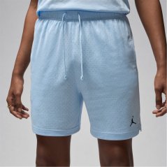 Air Jordan Sport Men's Dri-FIT Mesh Shorts Blue/Black