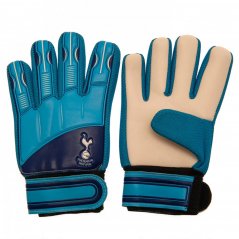 Team Team Delta GK Gloves Tottenham