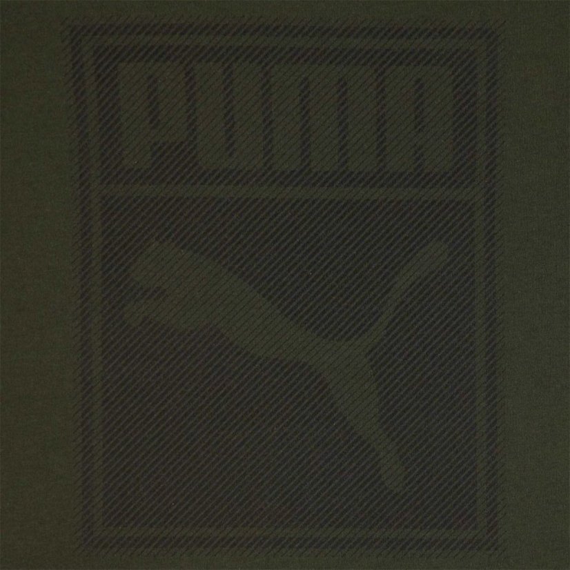 Puma Box QT T Shirt Junior Boys Forest Night