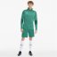 Puma TF21 Zip Fleece Mens Pepper Green