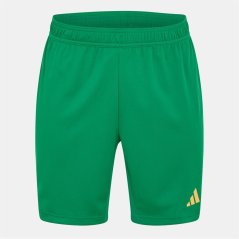 adidas Men's Goalkeeper Shorts Green